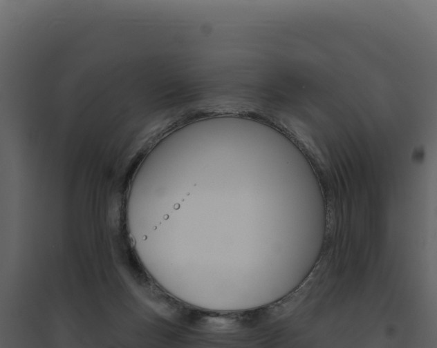 X0000094810167200711161012