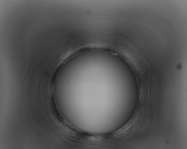 X0000094810168200711161012