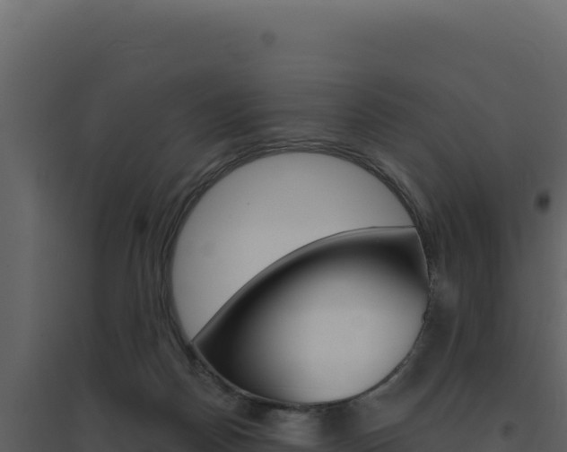 X0000094810170200711161012