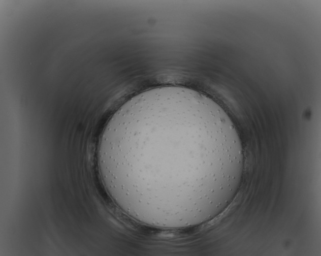 X0000094810171200711161012