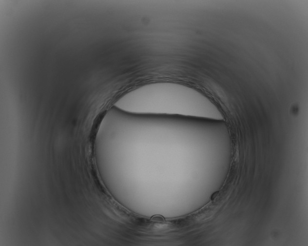 X0000094810173200711161012