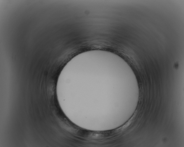 X0000094810174200711161012