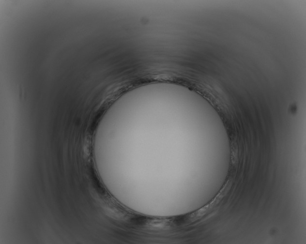 X0000094810175200711161012