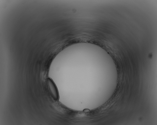X0000094810177200711161013