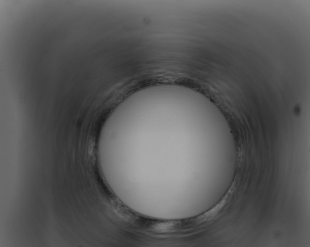 X0000094810178200711161013