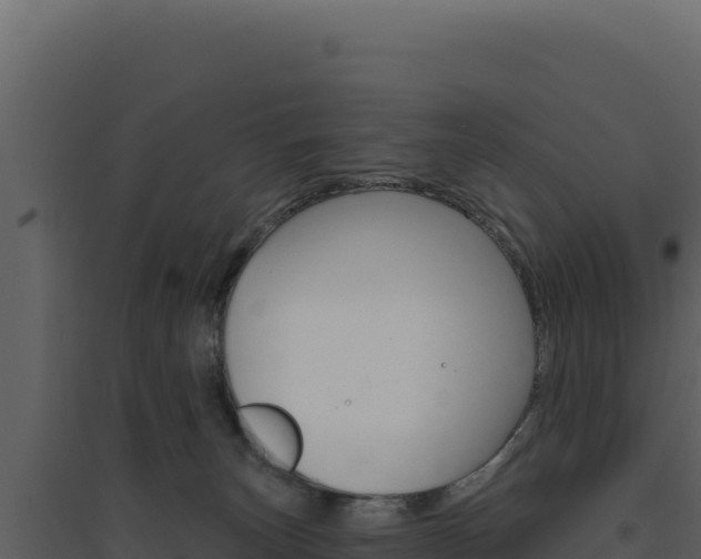 X0000094810179200711161013
