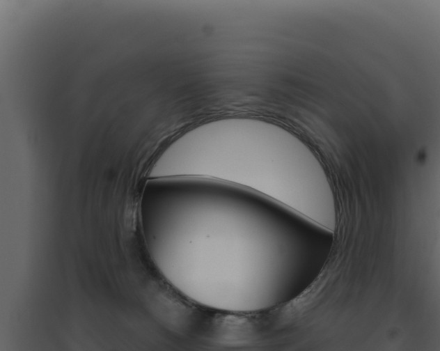 X0000094810180200711161013