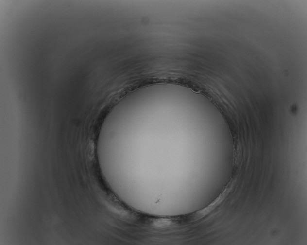X0000094810183200711161013