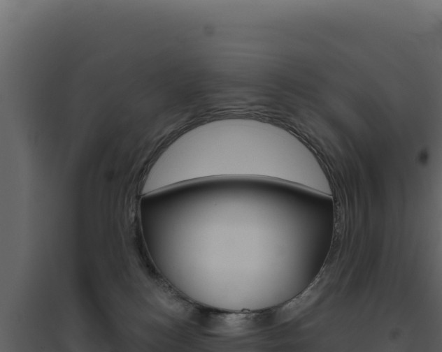 X0000094810184200711161013