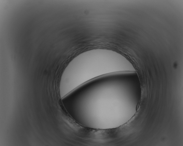 X0000094810186200711161013