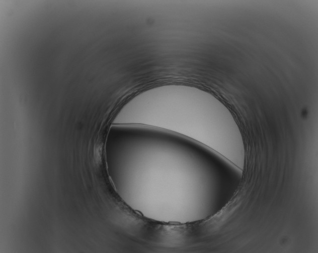 X0000094810188200711161013