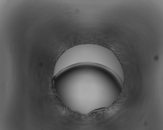 X0000094810192200711161013