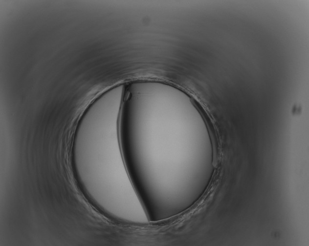 X0000094810193200711161012