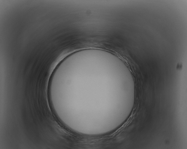 X0000094810195200711161012