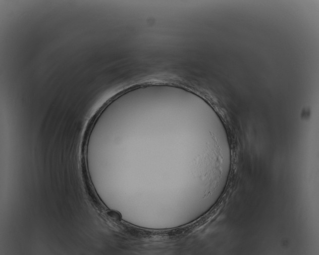 X0000094810196200711161012
