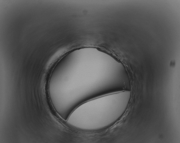 X0000094810197200711161012