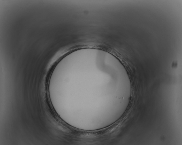 X0000094810198200711161012