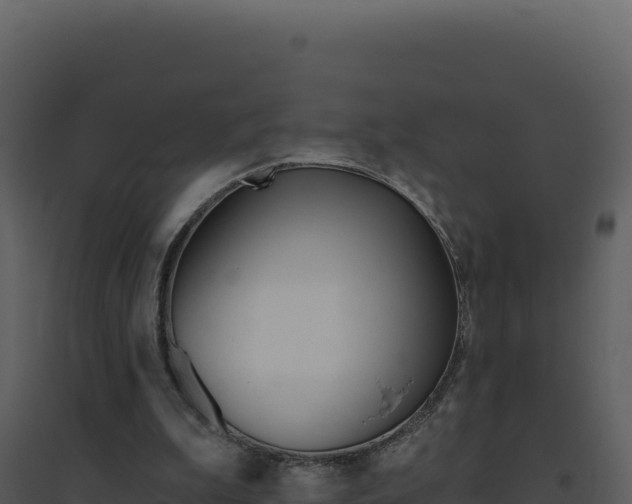 X0000094810199200711161012