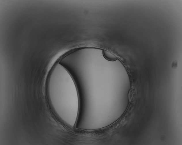 X0000094810200200711161012