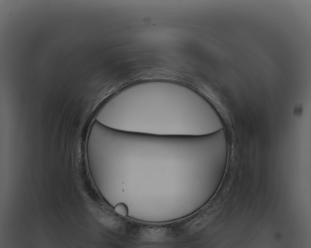 X0000094810202200711161012