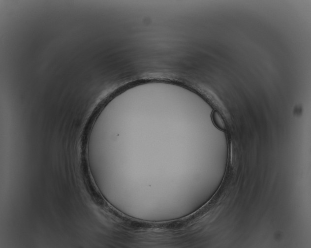 X0000094810204200711161012