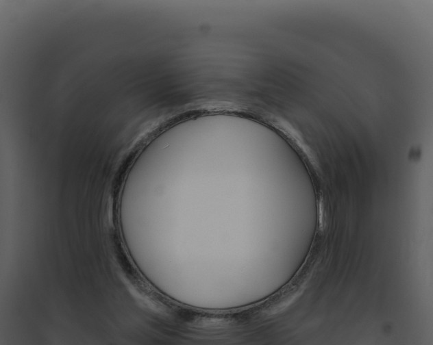 X0000094810205200711161012