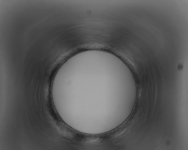 X0000094810206200711161012