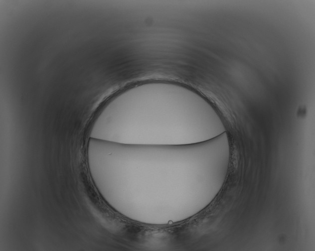 X0000094810208200711161012