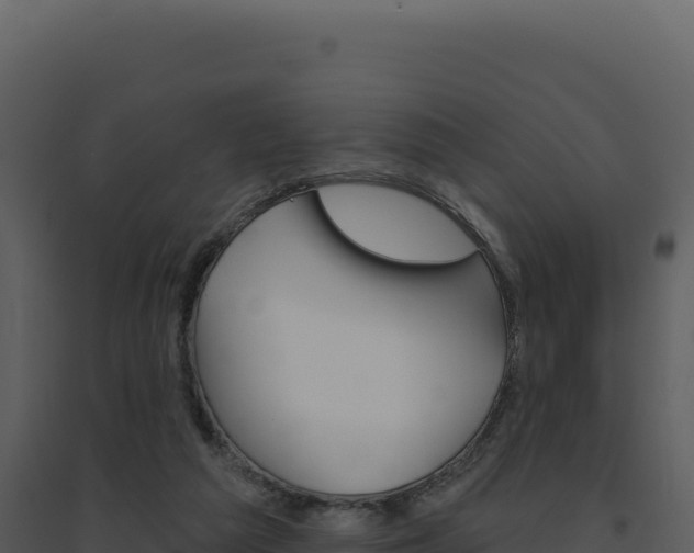 X0000094810209200711161012