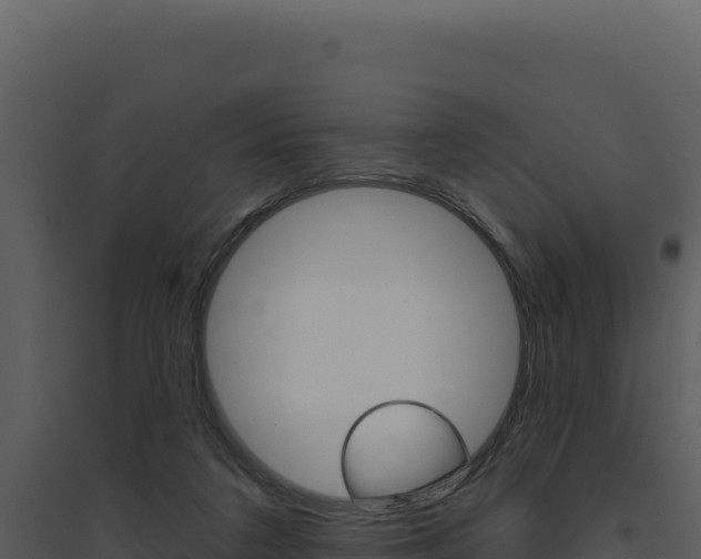 X0000094810211200711161012