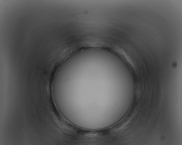 X0000094810213200711161012