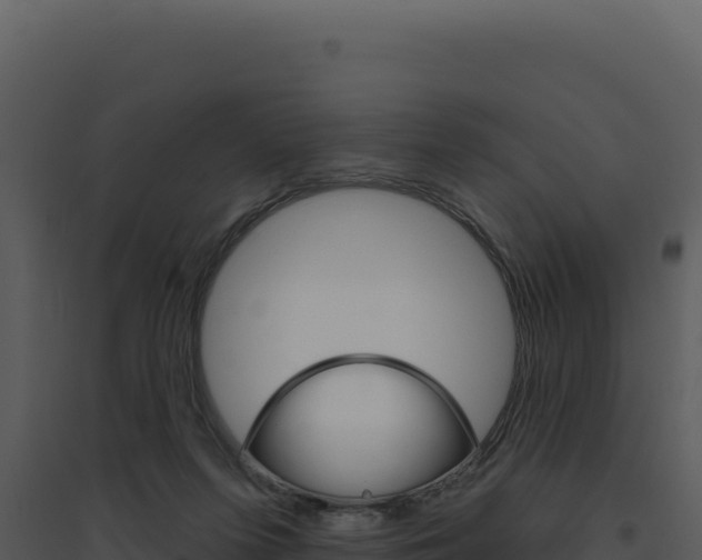 X0000094810215200711161012