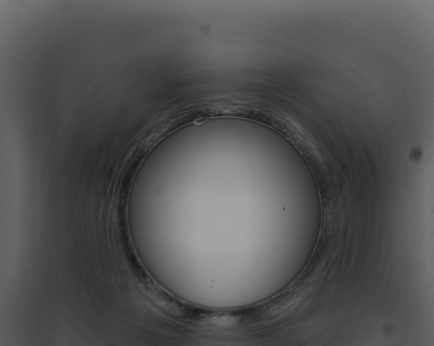 X0000094810217200711161012