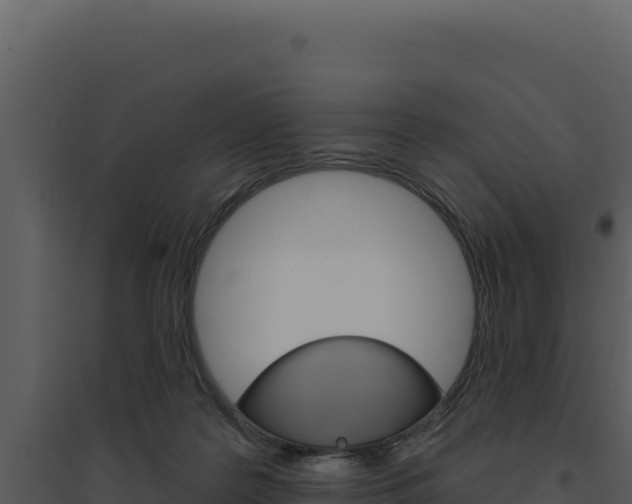 X0000094810219200711161012