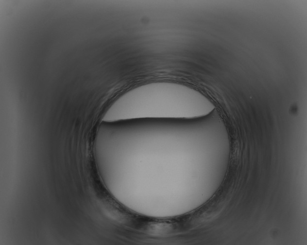 X0000094810220200711161012