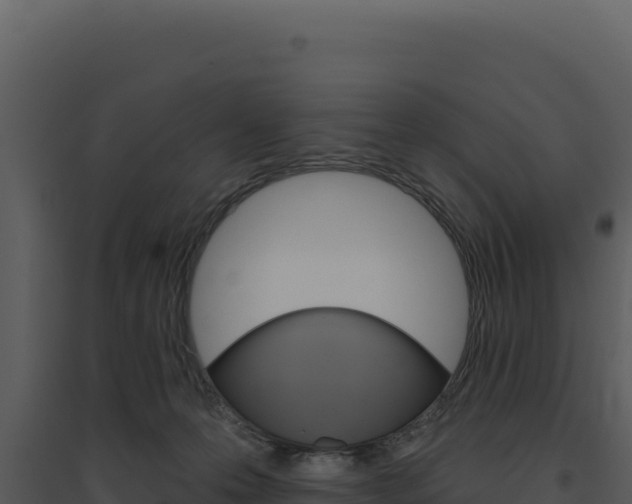 X0000094810223200711161011