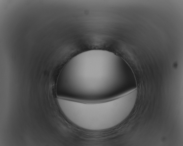 X0000094810225200711161011