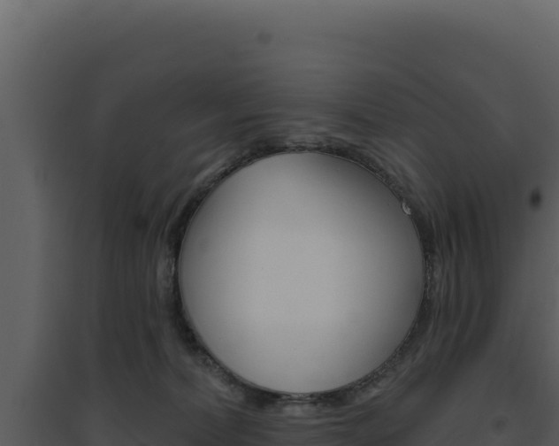 X0000094810228200711161011
