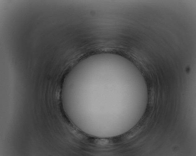 X0000094810230200711161011