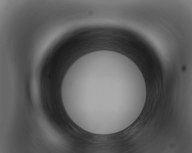 X0000094810239200711161011