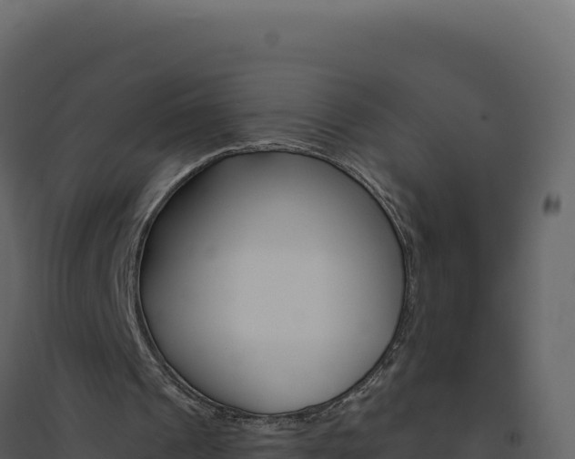 X0000094810241200711161010
