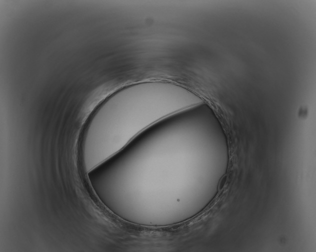 X0000094810242200711161010