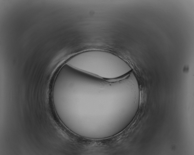 X0000094810243200711161010