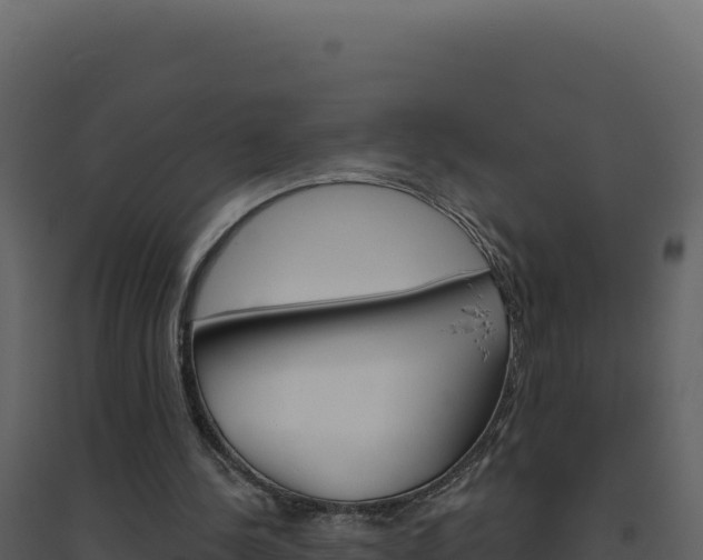 X0000094810244200711161010