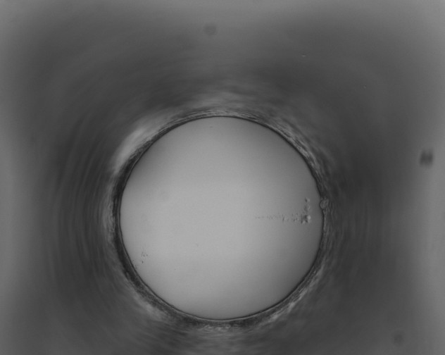 X0000094810245200711161010