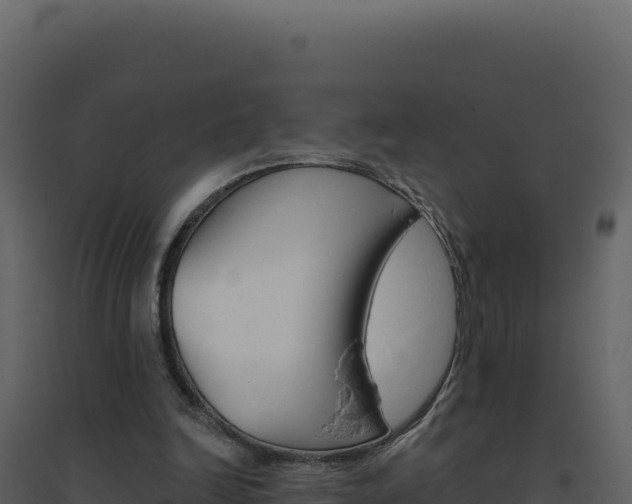 X0000094810246200711161010