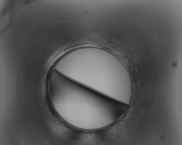 X0000094810247200711161010
