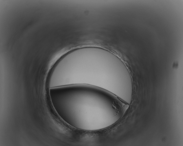 X0000094810248200711161010
