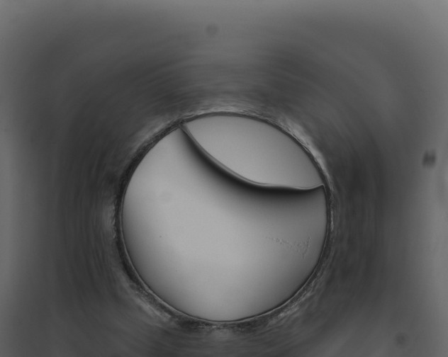 X0000094810249200711161011