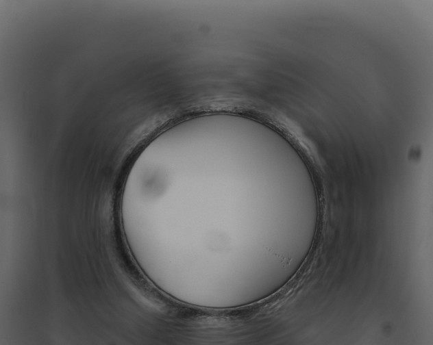 X0000094810250200711161011